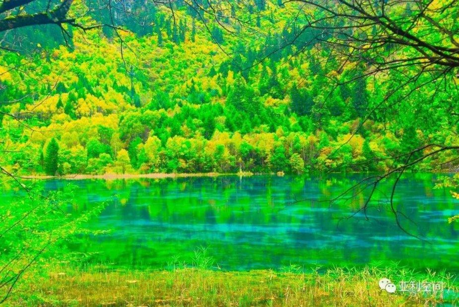 意想不到的旅程